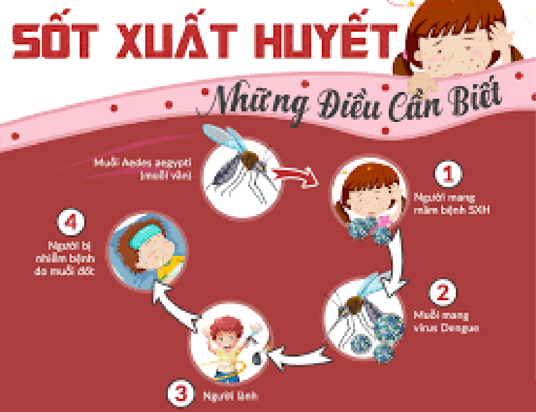 Những điều cần biết về bệnh sốt xuất huyết