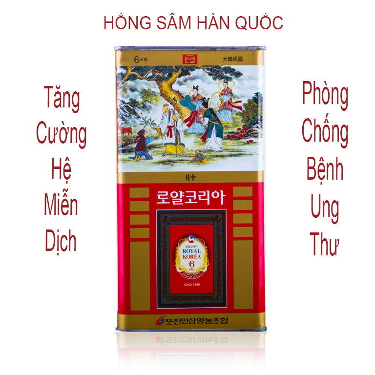 Hồng Sâm Hàn Quốc giúp tăng cường hệ thống miễn dịch và có tác dụng chống lại bệnh ung thư