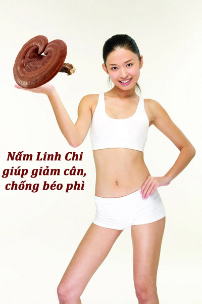 Tác dụng tuyệt vời của nấm linh chi mang lại