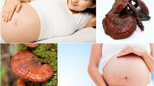 Tác dụng tuyệt vời của nấm linh chi mang lại