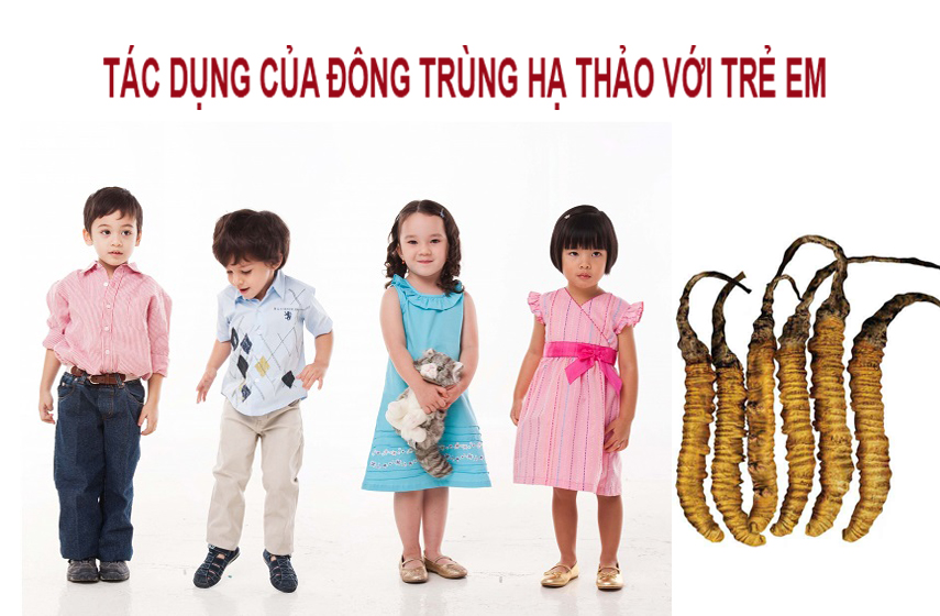 Tác dụng của Đông Trùng Hạ Thảo với trẻ em