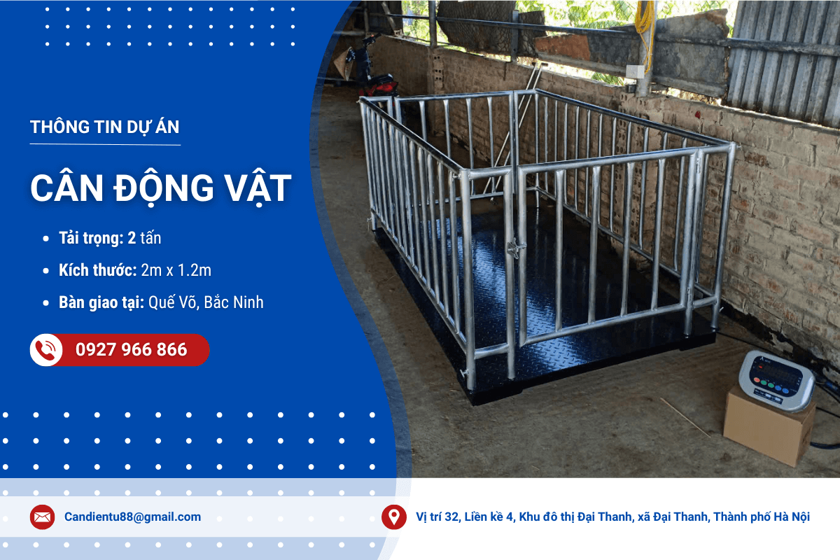 Giao nhanh cân sàn có lồng - cân động vật tại Quế Võ, Bắc Ninh