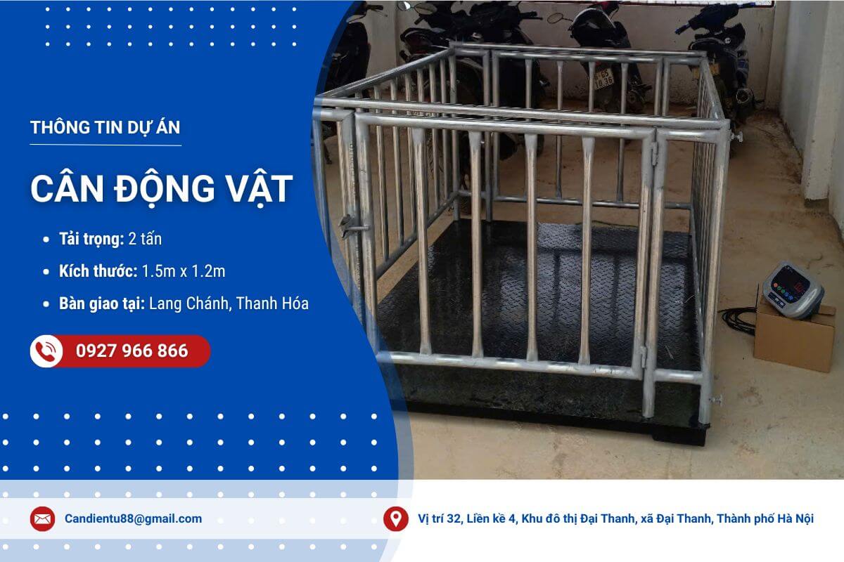 Sản xuất, bàn giao 2 bộ cân động vật tại Thanh Hóa