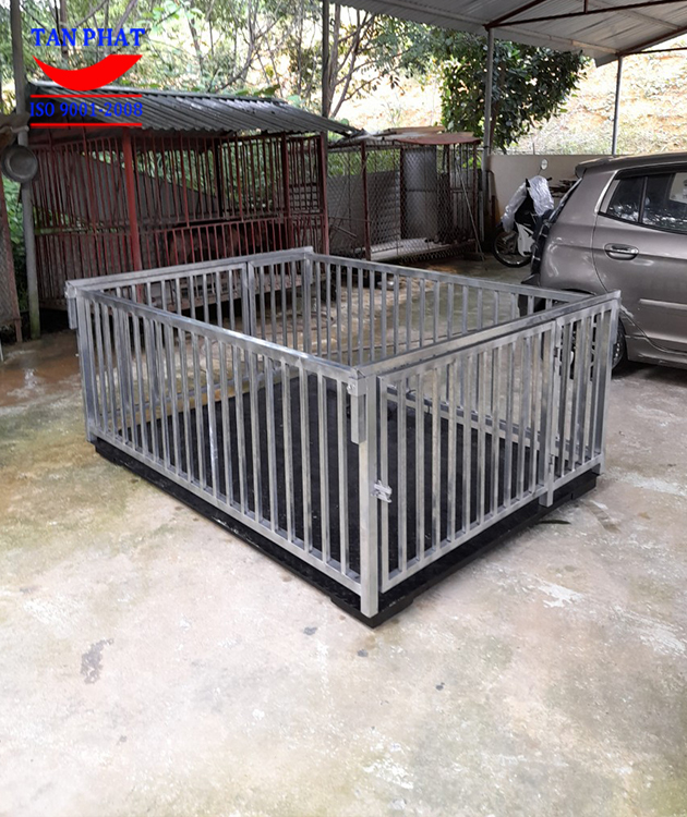 Cân 2 tấn 2mx1.2m sử dụng trong cân động vật