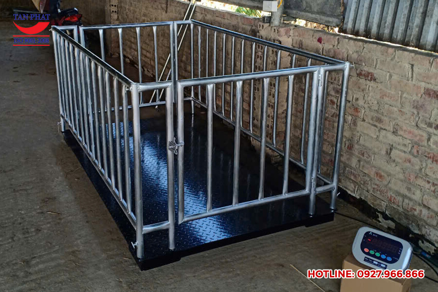 Bán cân động vật tại Bắc Ninh