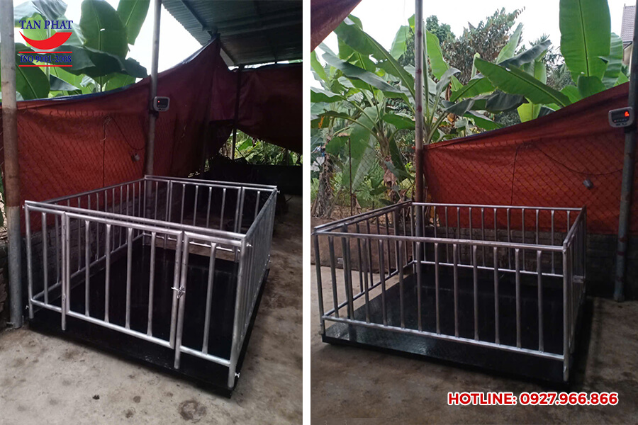 Giao cân sàn có lồng tại Bắc Ninh