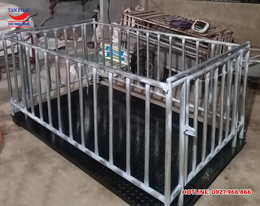 Hình ảnh thực tế bàn giao cân sàn có lồng tại Thái Bình