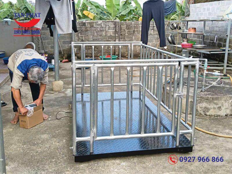 Cân sàn điện tử 2 tấn có lồng giao tại Phú Thọ