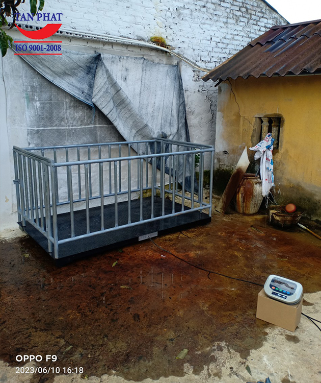Cân sàn điện tử 2 tấn