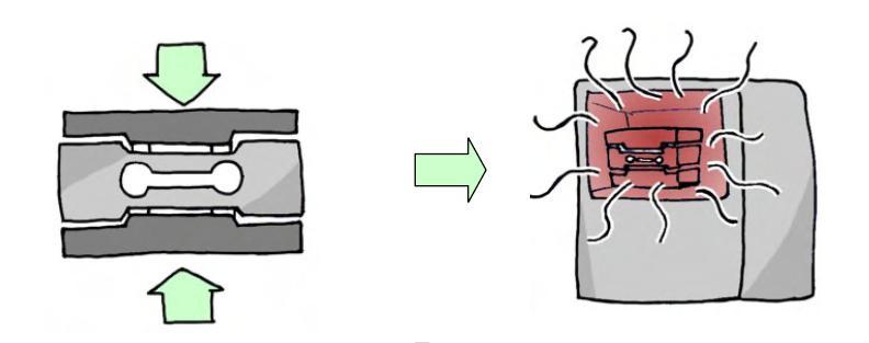 ép chặt strain guage lên thân loadcell