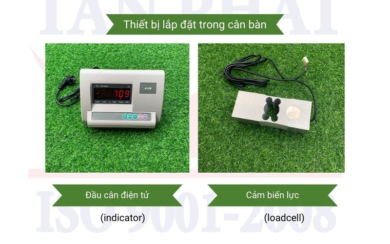 Thiết bị cân bàn điện tử