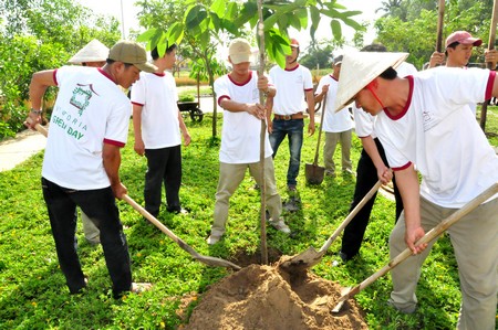 Trồng cây