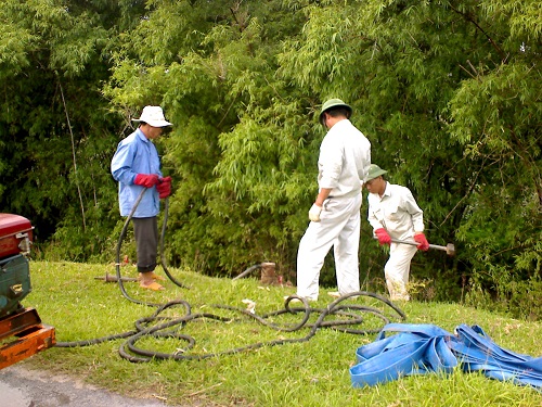 Diệt mối cho đê