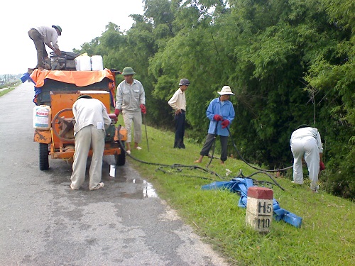 Diệt mối cho đập