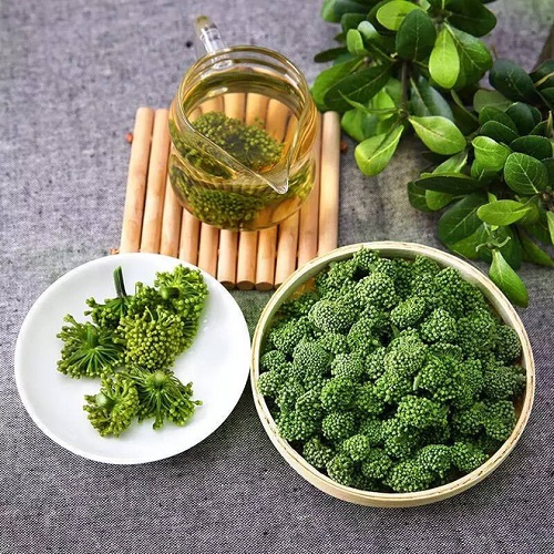kham-pha-bi-mat-tam-that-van-son-tinh-hoa-tu-thien-nhien