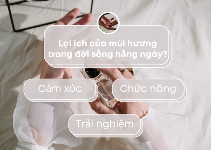 Những lợi ích của mùi hương trong cuộc sống hằng ngày.