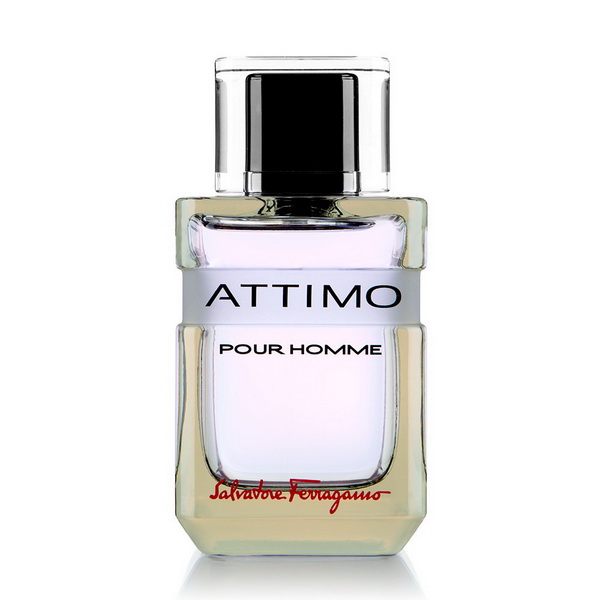 Salvatore Ferragamo Attimo Pour Homme Eau...