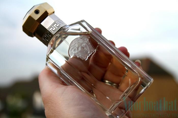 Eau De Toilette The Dreamer Versace Fragrantica Versace Cologne