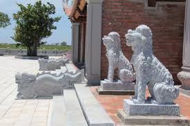 y-nghia-cua-con-nghe-da