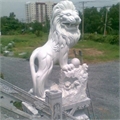 che-tac-tuong-da-dep