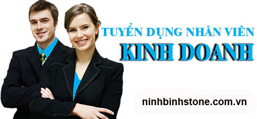 cong-ty-cp-xnk-da-my-nghe-ninh-binh-tuyen-nhan-vien-kinh-doanh