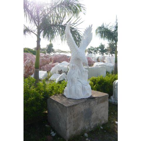 Đại bàng 02
