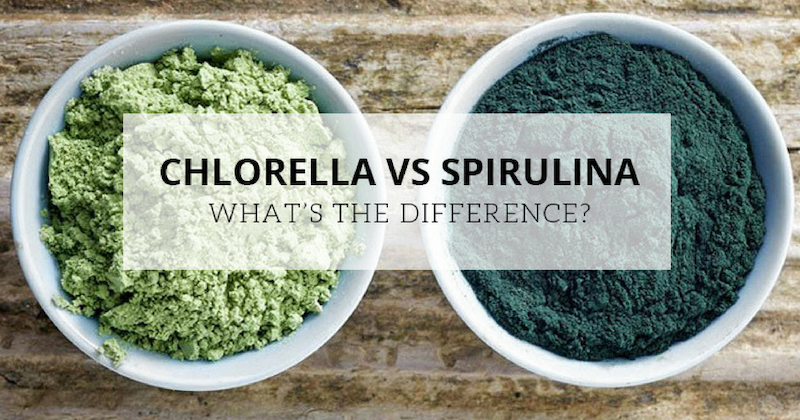 su-khac-nhau-giua-tao-luc-chlorella-va-tao-xoan-spirulina