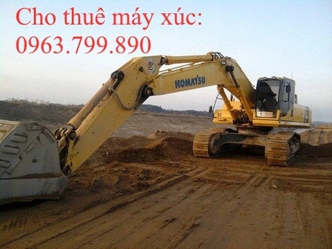 Cho thuê máy xúc đào bánh xích 450