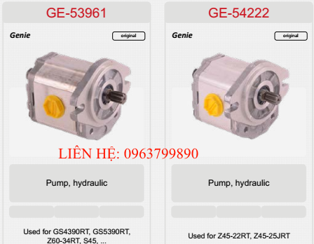 GE-53961, GE-54222 bơm thủy lực xe nâng người S45, Z45-22RT...