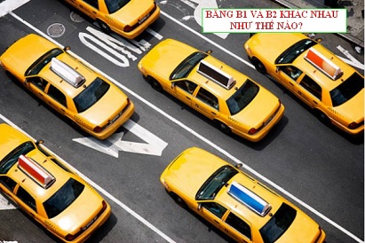 Giấy phép lái xe hạng B1 và B2 khác nhau điểm nào? Giấy phép lái xe hạng B1 và B2 khác nhau điểm nào?