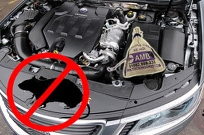 Kinh nghiệm chống chuột cho ô tô - đơn giản nhưng cực kì hiệu quả Kinh nghiệm chống chuột cho ô tô - đơn giản nhưng cực kì hiệu quả