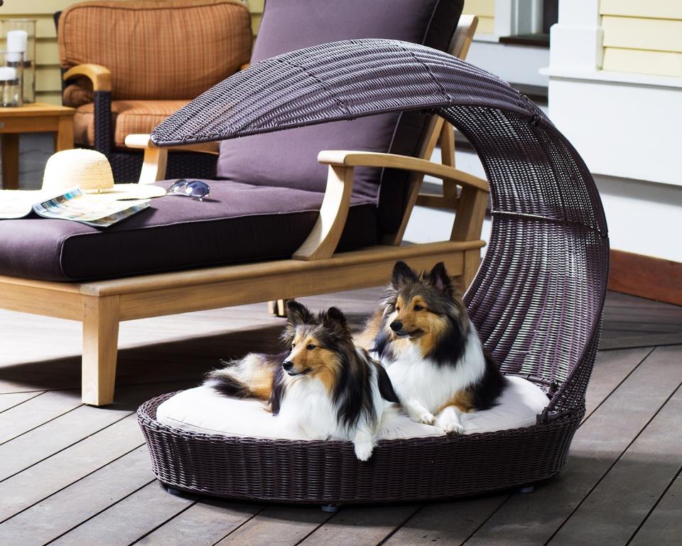PET HOUSE