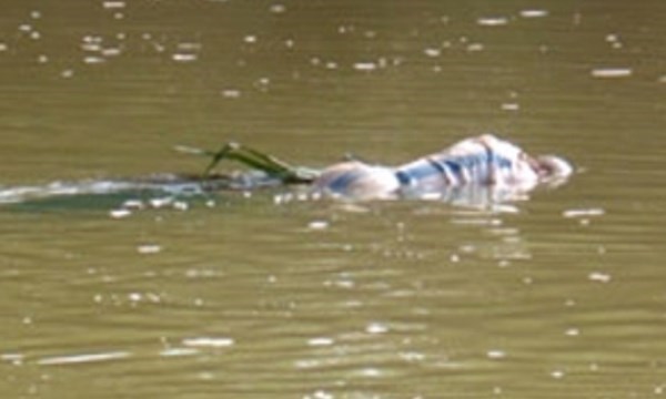 Camera ghi được hình kẻ giết người bỏ vào bao ném xuống sông