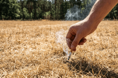 Cháy Rừng Và Cháy Cỏ Khô – Hiểm Họa Từ Một Tàn Thuốc