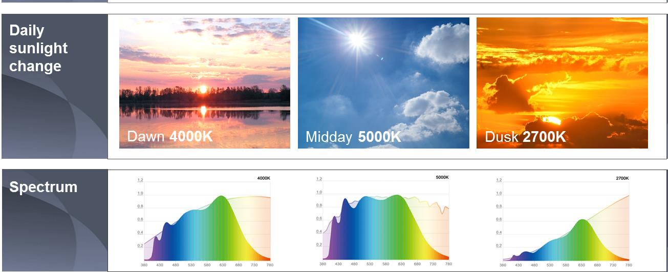 Công nghệ LED SunLike là gì và nó hoạt động như thế nào?