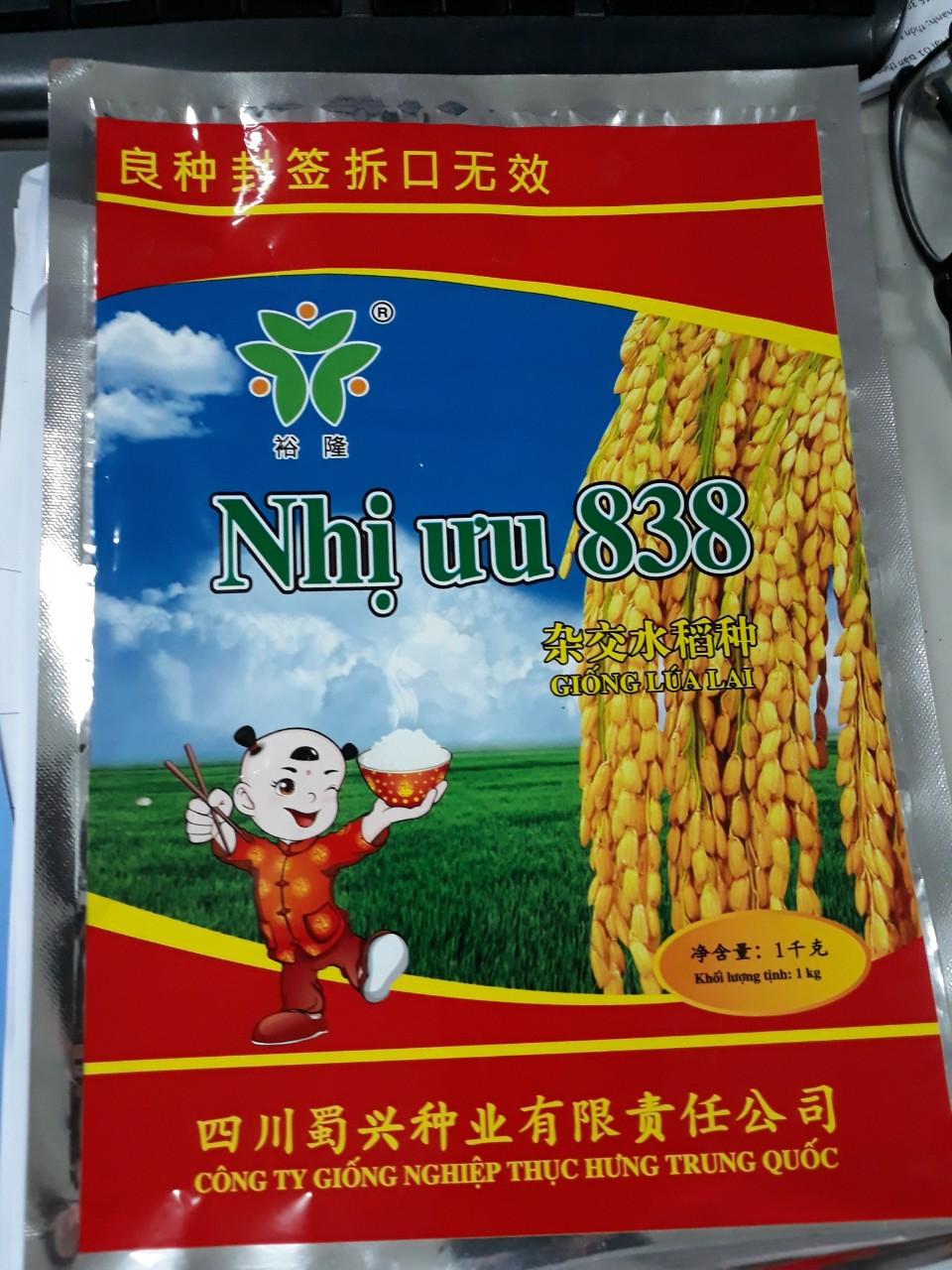 BAO BÌ GIỐNG LÚA