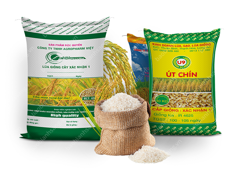 ĐẶC ĐIỂM CỦA MẪU BAO BÌ GIỐNG CÂY TRỒNG