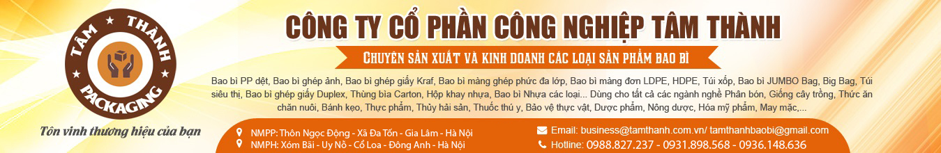 Công ty in Bao bì uy tín chất lượng tại Hà Nội 