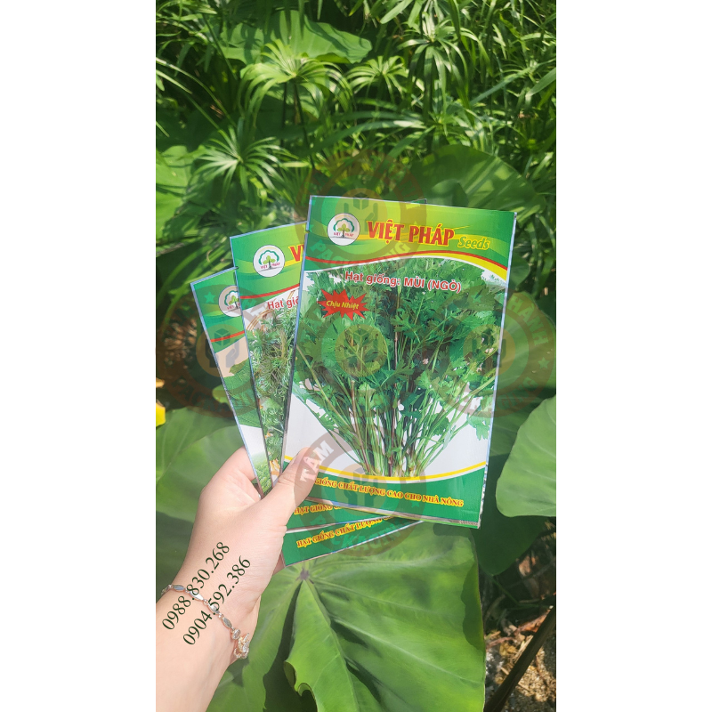 TẠI SAO CẦN IN TÚI ĐỰNG HẠT GIỐNG CÓ THƯƠNG HIỆU RIÊNG?