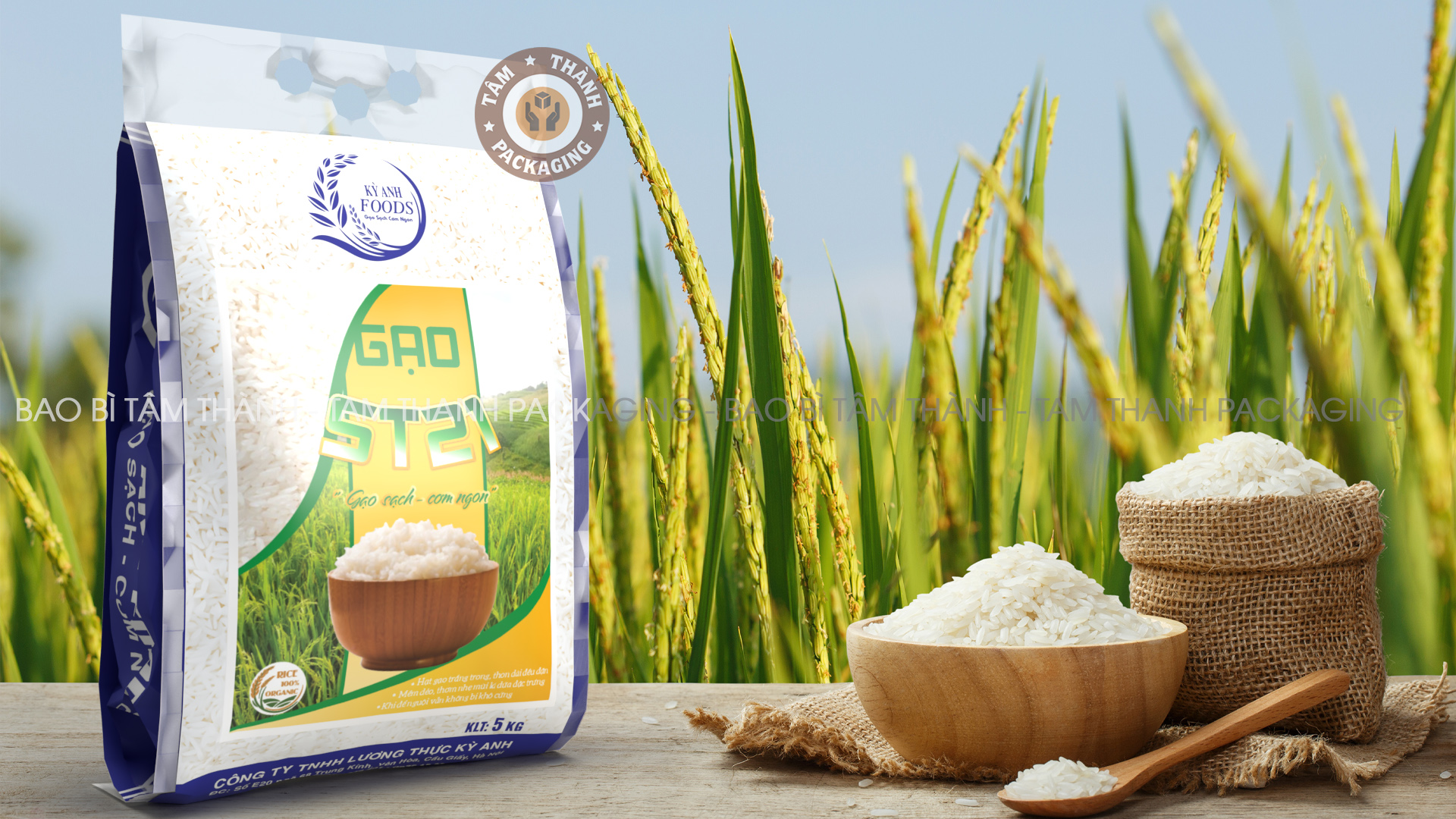 Bao bì đựng gạo - Giải pháp và lựa chọn tối ưu cho từng nhu cầu khách hàng và doanh nghiệp