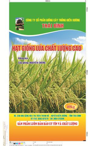 bao bì tâm tanhfuy tín chất lượng