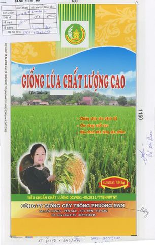 sản xuất bao bì giống cây trồng