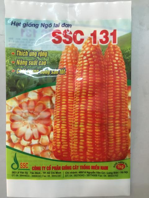 Túi Giống Lúa 1kg