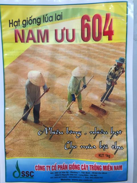 Túi Giống Lúa Lai Nam Ưu 604 (1kg)