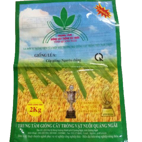 Túi Giống Lúa 1kg