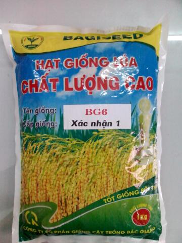 Túi Hạt Giống Lúa BG6  (1kg)