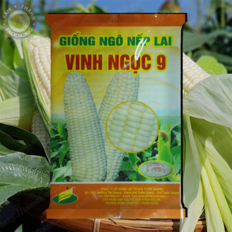 Túi Giống Ngô