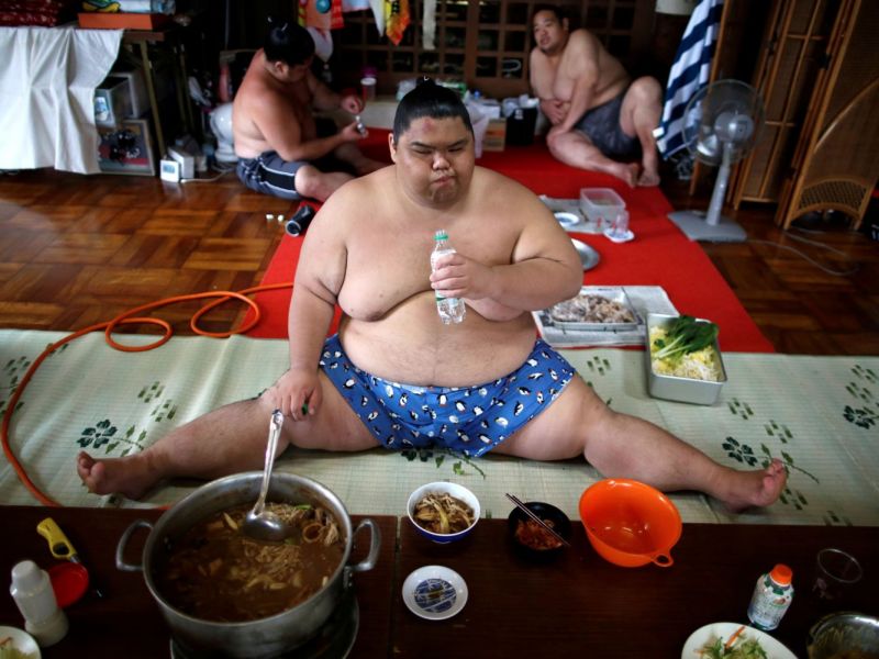 Tìm hiểu cuộc sống của sumo Nhật Bản