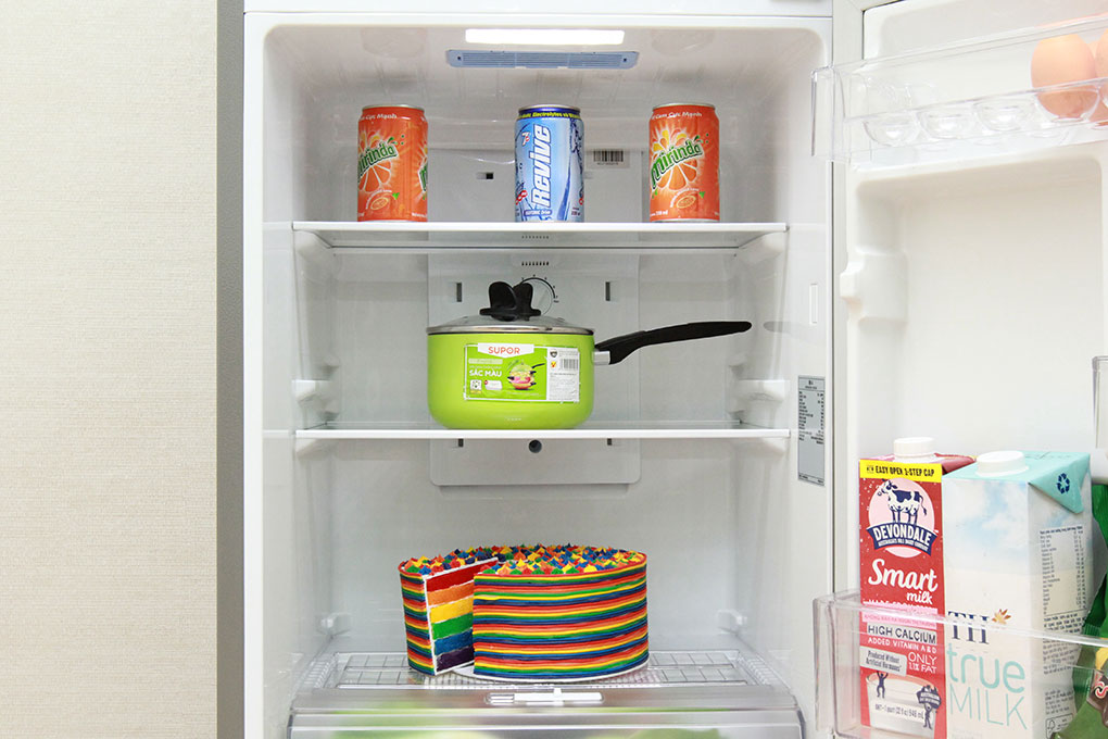 Tủ lạnh (205 lít)