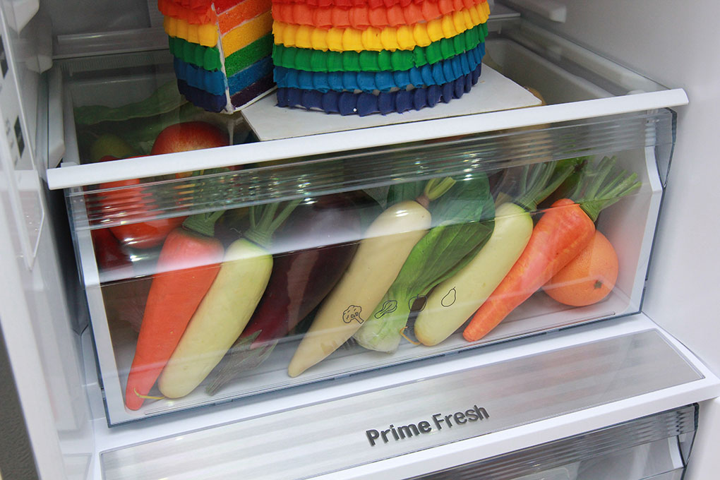 Tủ lạnh (290 lít)